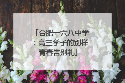 合肥一六八中学：高三学子的别样青春告别礼
