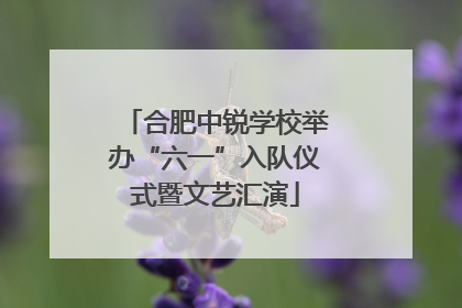 合肥中锐学校举办“六一”入队仪式暨文艺汇演