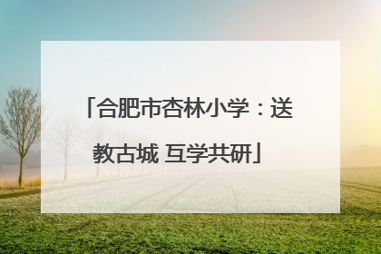 合肥市杏林小学：送教古城 互学共研