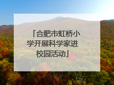 合肥市虹桥小学开展科学家进校园活动