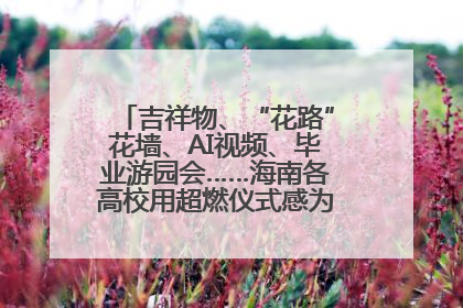 吉祥物、“花路”花墙、AI视频、毕业游园会……海南各高校用超燃仪式感为学子青春“存档”