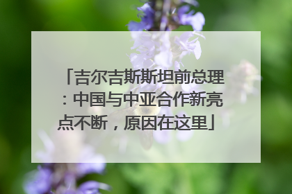 吉尔吉斯斯坦前总理：中国与中亚合作新亮点不断，原因在这里