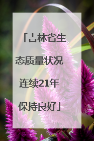 吉林省生态质量状况连续21年保持良好