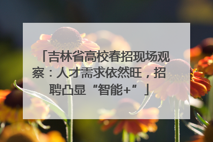 吉林省高校春招现场观察：人才需求依然旺，招聘凸显“智能+”