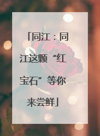 同江：同江这颗“红宝石”等你来尝鲜