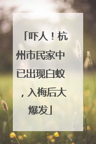 吓人！杭州市民家中已出现白蚁，入梅后大爆发