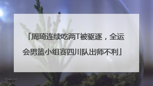 周琦连续吃两T被驱逐，全运会男篮小组赛四川队出师不利
