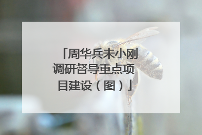 周华兵未小刚调研督导重点项目建设（图）