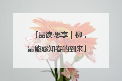 品读·思享｜柳，最能感知春的到来