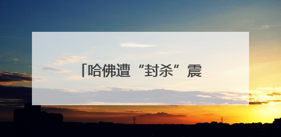 哈佛遭“封杀”震动教育界 在美留学生未来何去何从？