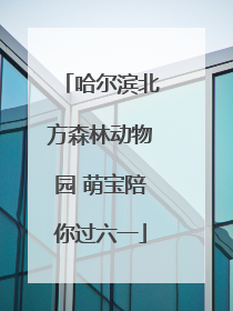 哈尔滨北方森林动物园 萌宝陪你过六一