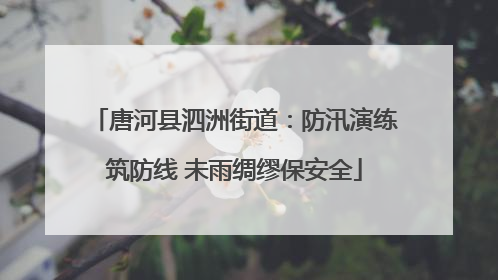 唐河县泗洲街道：防汛演练筑防线 未雨绸缪保安全