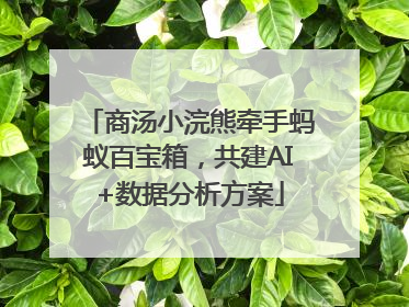 商汤小浣熊牵手蚂蚁百宝箱，共建AI+数据分析方案