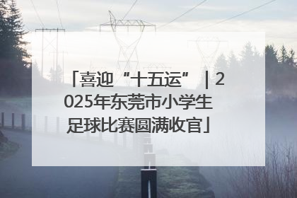 喜迎“十五运”｜2025年东莞市小学生足球比赛圆满收官
