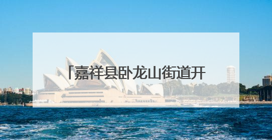 嘉祥县卧龙山街道开展医保政策宣传活动