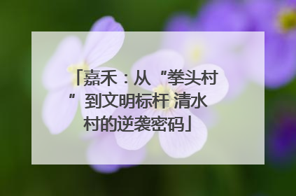 嘉禾：从“拳头村”到文明标杆 清水村的逆袭密码