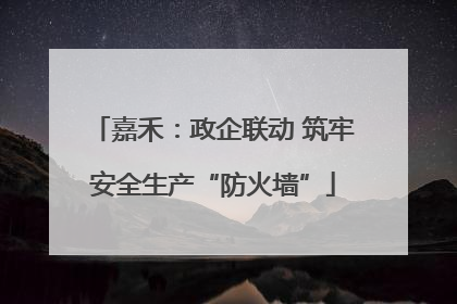 嘉禾：政企联动 筑牢安全生产“防火墙”