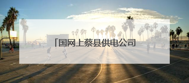 国网上蔡县供电公司：供电服务在身边 安全咨询“零距离”