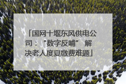 国网十堰东风供电公司：“数字反哺” 解决老人度夏缴费难题