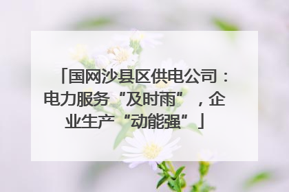 国网沙县区供电公司：电力服务“及时雨”，企业生产“动能强”