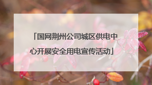 国网荆州公司城区供电中心开展安全用电宣传活动