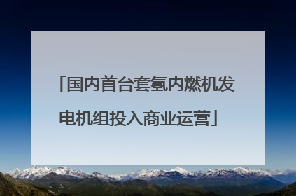 国内首台套氢内燃机发电机组投入商业运营
