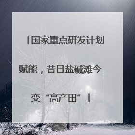 国家重点研发计划赋能，昔日盐碱滩今变“高产田”