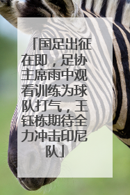 国足出征在即，足协主席雨中观看训练为球队打气，王钰栋期待全力冲击印尼队