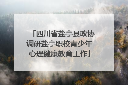 四川省盐亭县政协调研盐亭职校青少年心理健康教育工作
