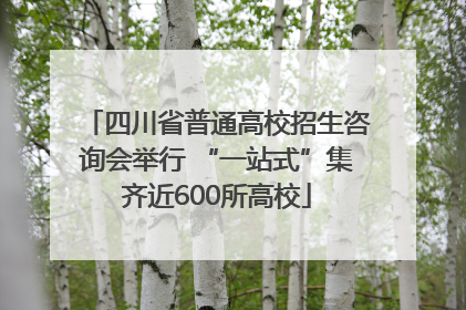 四川省普通高校招生咨询会举行 “一站式”集齐近600所高校