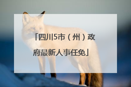 四川5市（州）政府最新人事任免