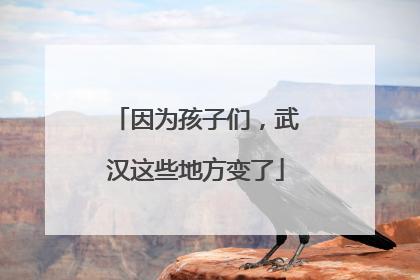 因为孩子们，武汉这些地方变了