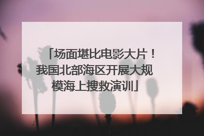 场面堪比电影大片！我国北部海区开展大规模海上搜救演训