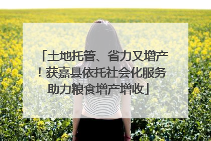 土地托管、省力又增产！获嘉县依托社会化服务助力粮食增产增收