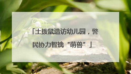 土拨鼠造访幼儿园，警民协力智擒“萌兽”