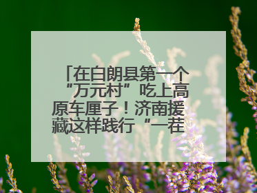在白朗县第一个“万元村”吃上高原车厘子！济南援藏这样践行“一茬接着一茬干”