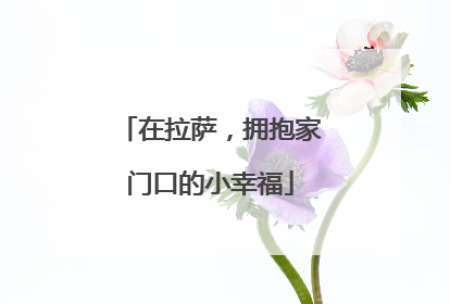 在拉萨，拥抱家门口的小幸福