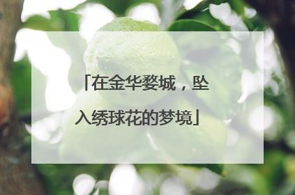 在金华婺城，坠入绣球花的梦境