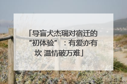 导盲犬杰瑞对宿迁的“初体验”：有爱亦有坎 温情破万难