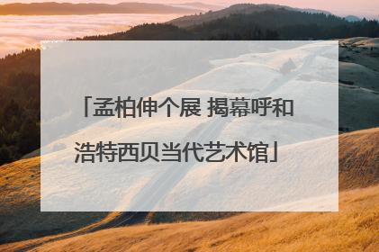 孟柏伸个展 揭幕呼和浩特西贝当代艺术馆