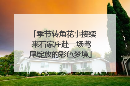 季节转角花事接续 来石家庄赴一场鸢尾绽放的彩色梦境