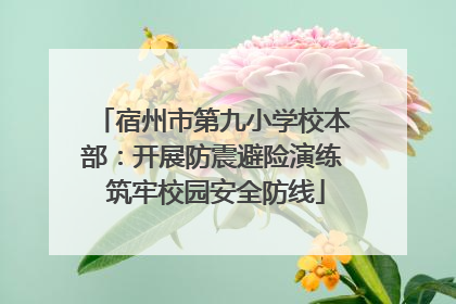 宿州市第九小学校本部：开展防震避险演练 筑牢校园安全防线