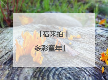 宿来拍丨多彩童年