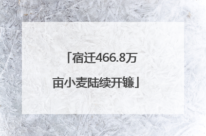 宿迁466.8万亩小麦陆续开镰