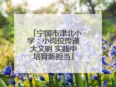 宁国市津北小学：小岗位传递大文明 实践中培育新担当