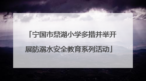 宁国市鼎湖小学多措并举开展防溺水安全教育系列活动