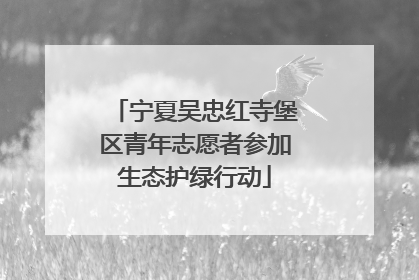 宁夏吴忠红寺堡区青年志愿者参加生态护绿行动