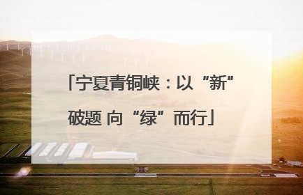 宁夏青铜峡:以“新”破题 向“绿”而行