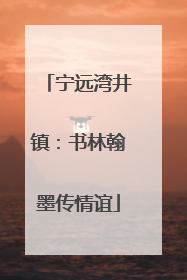 宁远湾井镇：书林翰墨传情谊