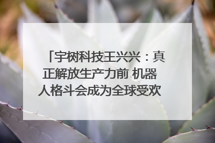 宇树科技王兴兴：真正解放生产力前 机器人格斗会成为全球受欢迎的赛事｜科技观察